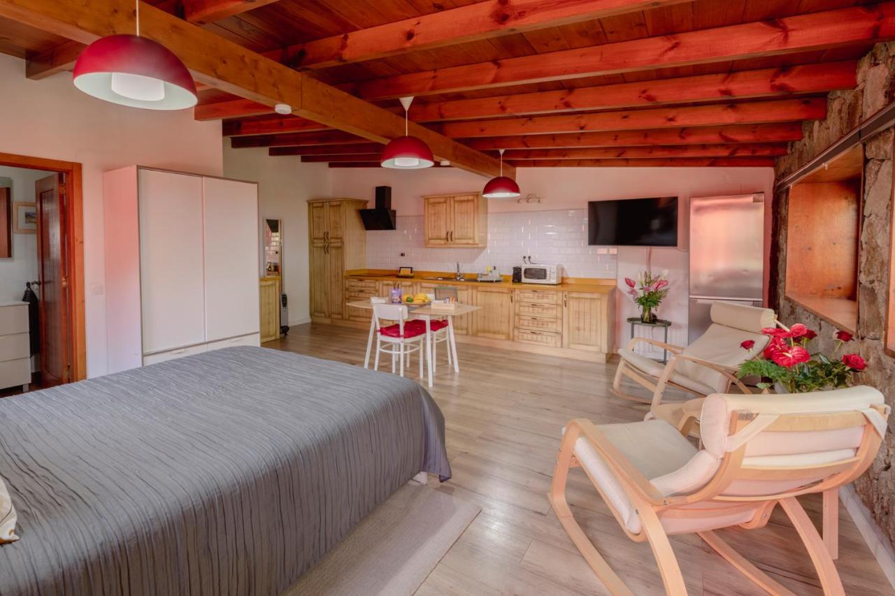 Papaya Cottage بونتا ديل هيدالغو المظهر الخارجي الصورة