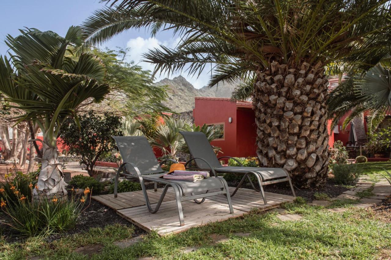 Papaya Cottage بونتا ديل هيدالغو المظهر الخارجي الصورة